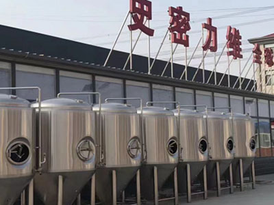 烈山精酿啤酒设备厂—如何判断精酿啤酒设备的密封件需要更换？
